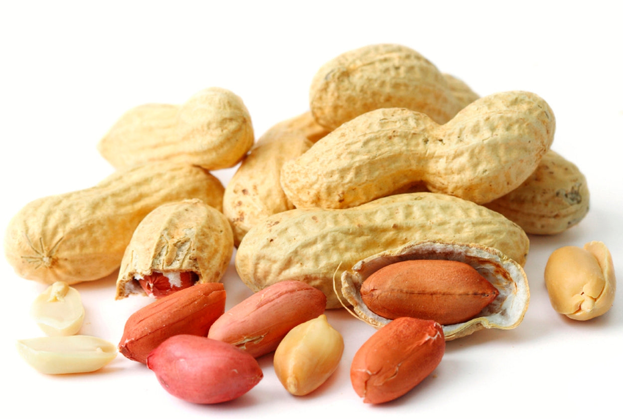 Roasted Peanuts in Shells x 5kg