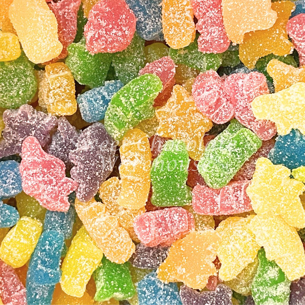 Trolli Dino Rex x 8kg