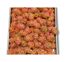Freeze Dried Candy 50g x 5