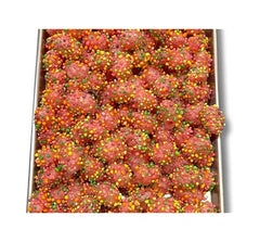 Freeze Dried Candy 50g x 5