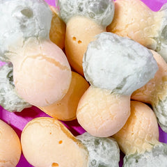 Freeze Dried Candy 50g x 5