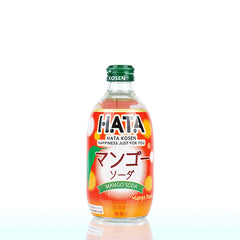 Hata 300ml Drinks x 24